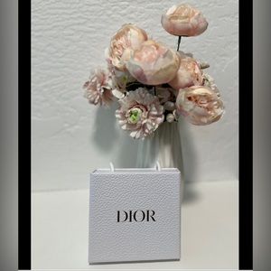 DIOR Small Box